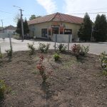 Nemzeti Dohánybolt 2.