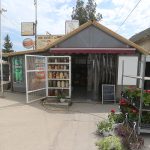 Zöllei Mini market
